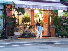 -溪岸路花鸟市场