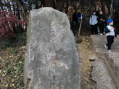 -紫金山山顶公园