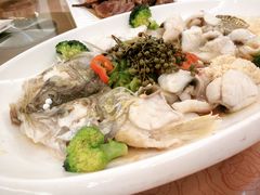 -聚彩居三和酒楼•老字号粤菜(南城店)