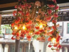-印象江南(东栅店)