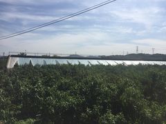 -将军石酒店温泉