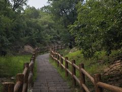 -白水寺森林公园