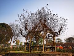 -武汉紫薇都市田园