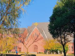 -贡湖湾湿地公园