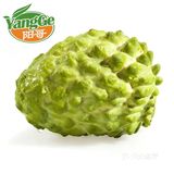 良心推荐，最正宗好吃的释迦果