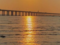 -宝安西湾红树林湿地公园