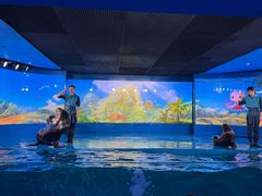 -欢乐海岸海洋奇梦馆