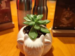 -FAT COW(虹梅路店)