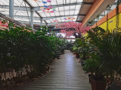 -君临七星生态酒店