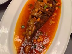 红烧黄鱼-燕春楼(海河华鼎店)