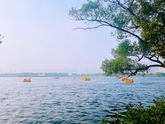 -洋湖国家湿地公园