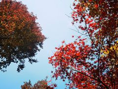 -东山风景区(洞庭东山)