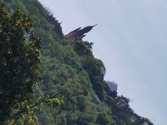 -上海月湖雕塑公园