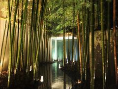 景观位-穹六人间 people 6(岳阳路店)