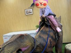 -自贡恐龙博物馆