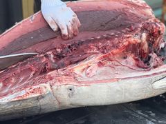 -镹·鱼料理  国产鱼使用店