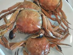 -荣誉国际酒店-云顶旋转餐厅