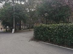 -青龙山国家森林公园