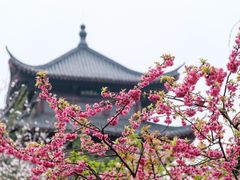 -堤角公园