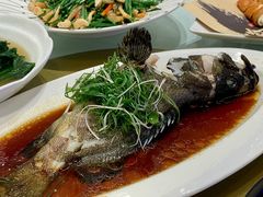 -圣丰盛宴酒家(东城店)