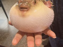 -永安鱼庄·镇江菜(东吴路店)