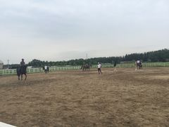 -月河湾马术俱乐部(朝阳店)