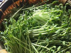 活体豌豆苗-捞王锅物料理(上海世茂广场店)