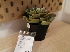 -宜家家居(哈尔滨商场店)