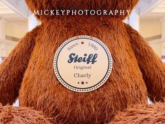 -Salon de Ville浦江汇(上海外滩华尔道夫酒店店)