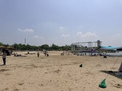 -九龙湖公园