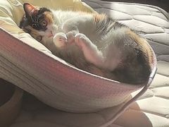 -天津前进宠物医院(前进道店)