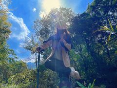 -广州市石门国家森林公园