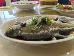 -文海饭店(朝阳路店)