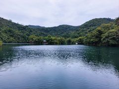 -鼎湖山风景区