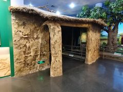 -国家自然博物馆