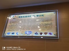 -护国寺小吃(机场店)