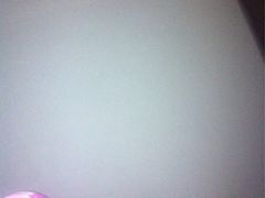 -皇冠幸福里动物奶油生日蛋糕(光谷软件园店)