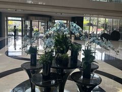 -广州白云机场雅高铂尔曼大酒店