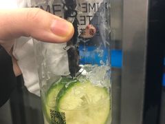 -素匠泰茶(三里屯SOHO工体奶茶店)