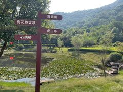 -桃花岭景区