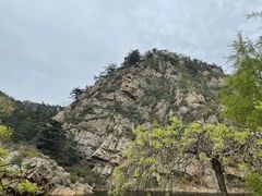 -金龙寺国家森林公园