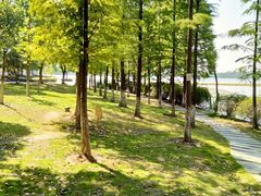 -暨阳湖生态园
