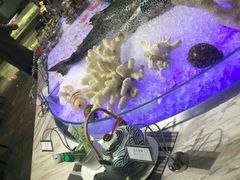 -云海轩·海鲜自助-河北云瑧世纪大饭店1F