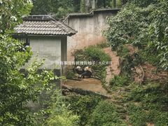 -中国大熊猫保护研究中心雅安碧峰峡基地