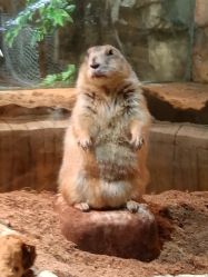 -Zoolung Zoolung动物主题公园(海信广场店)