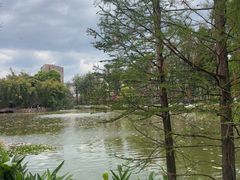 -翠湖公园