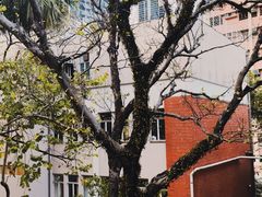-香港大学