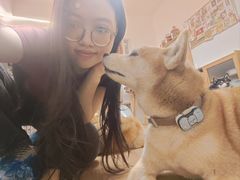 -是阿柴呀！柴犬咖啡·爱喵喵猫咖