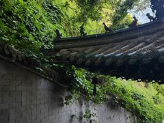 -白塔山公园
