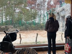 -上海野生动物园老虎餐厅